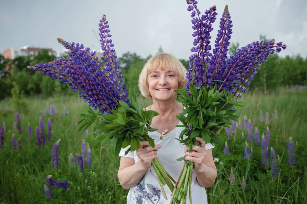 Jakie zioła przy menopauzie