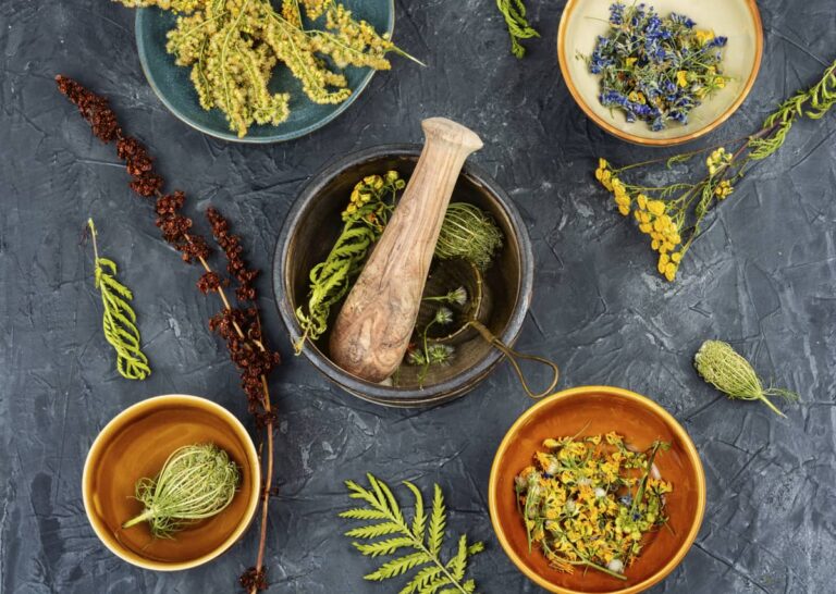 Jakie zioła na wzdęcia? Skuteczne zioła na wzdęcia