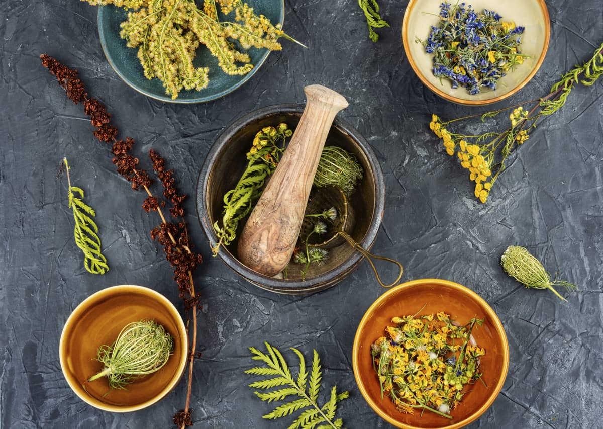 Jakie zioła na wzdęcia