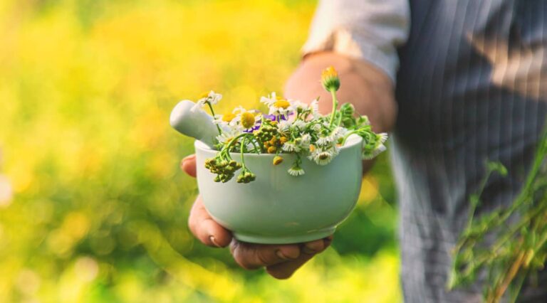 Zioła na Piękną Cerę: Jakie Zioła Pić na Cerę